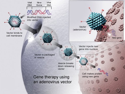Cell and Gene Therapy